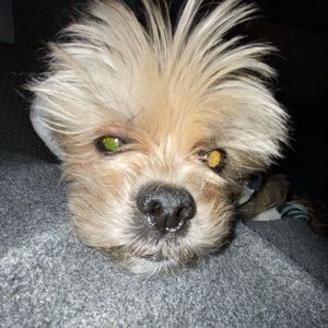 Meet your Posher, Jade